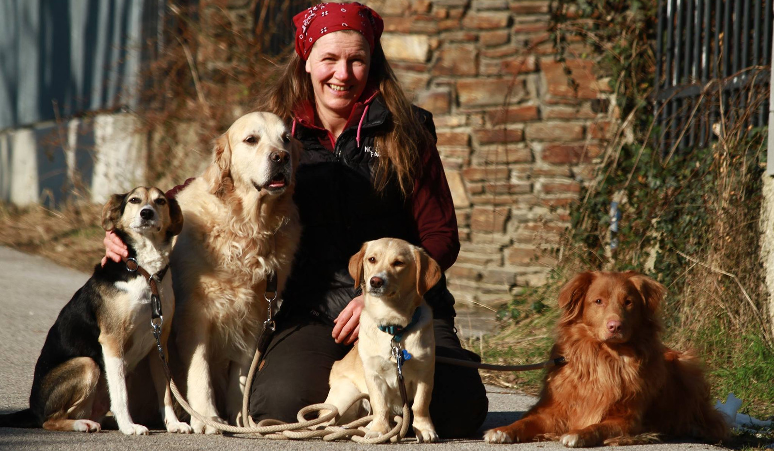 Christina mit vier Hunden – Foto von ihrer Über-mich-Seite